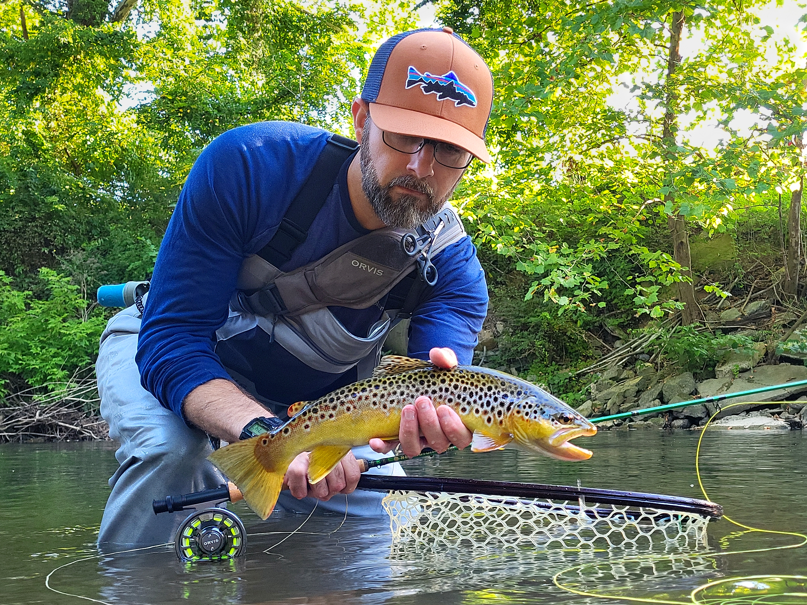 PB Brown 